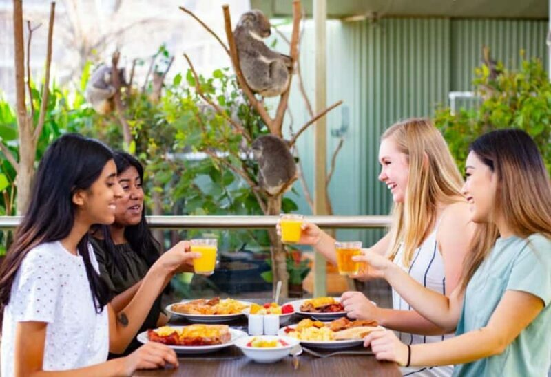 Breakfast with Koalas at WILD LIFE Zoo Darling Harbour - Key Points