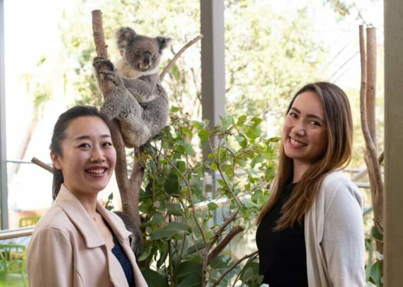 Breakfast with Koalas at WILD LIFE Zoo Darling Harbour - Authentic Reviews and What They Tell Us