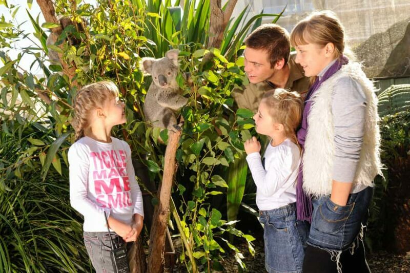 Breakfast with Koalas at WILD LIFE Zoo Darling Harbour - Wrapping Up: Who Will Love This?