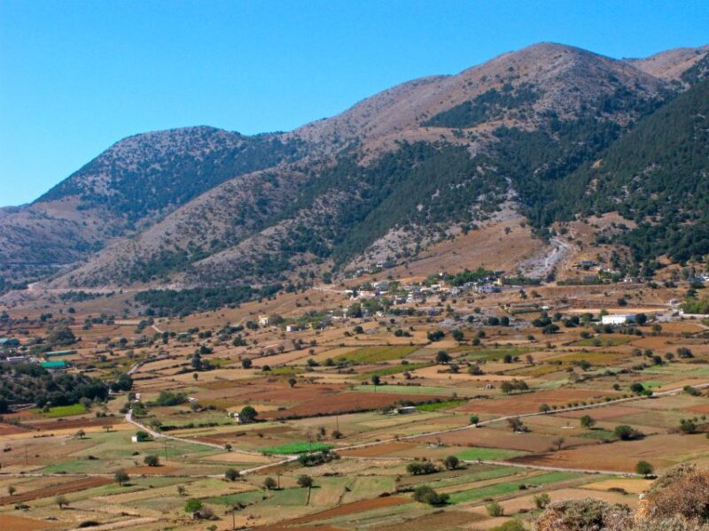 BREATH of AFRICA in CRETE - PHOTO SAFARI From Rethymno Area - Key Points