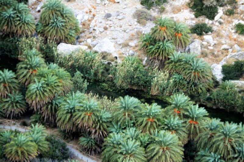 BREATH of AFRICA in CRETE - PHOTO SAFARI From Rethymno Area - Exploring Imbros Gorge and Frangokastello