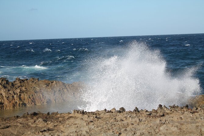 Breath of Curacao Safari - Fitness Requirements and Accessibility