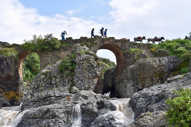 Breathtaking Nature, Wildlife and Cave Church Tour - Free Pickups - Wildlife Encounters