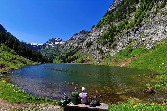 Breathtaking Private Hike With a Local Swiss Expert (1 Day Trip) - Tour Accessibility