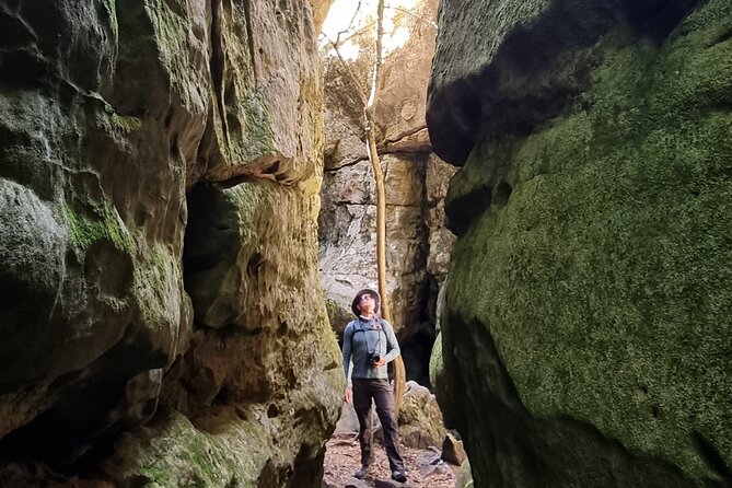 Breathtaking Table Mountain Guided Hike - Off the Beaten Track! - What to Bring and Wear