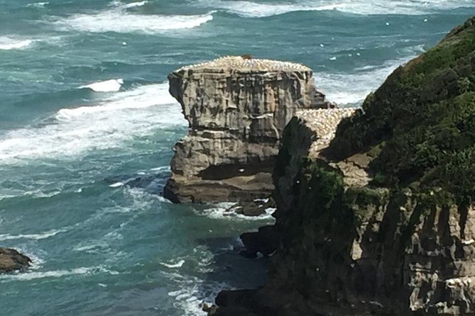 Breathtaking West Coast, Rainforest, Beach and Boobies - German Private Tour - Pickup Information