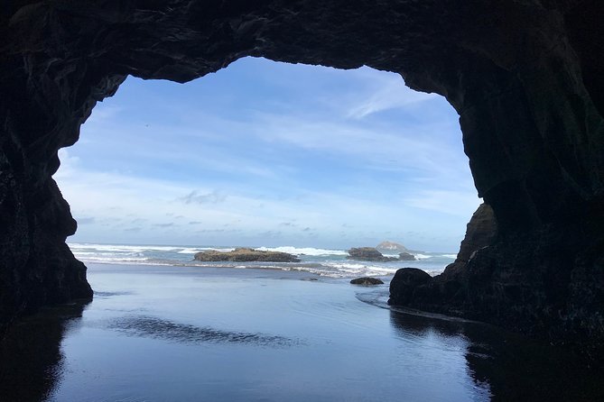 Breathtaking West Coast, Rainforest, Beach and Boobies - German Private Tour - Additional Information