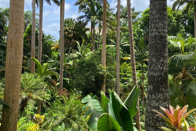 Breathtaking Wonders - Harrisons Cave and Huntes Gardens - Exploring Huntes Gardens