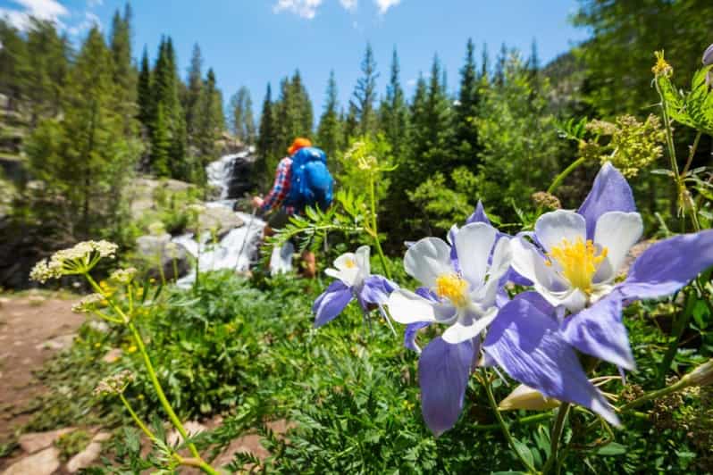Breckenridge, CO: Half-Day Guided Scenic Hike - Breathtaking Mountain Vistas and Aspen Groves