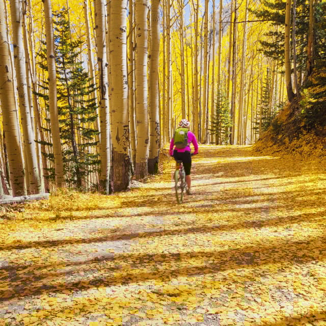 Breckenridge, CO: Shuttled Mountain Bike Ride on Peaks Trail - Meeting and Coordination