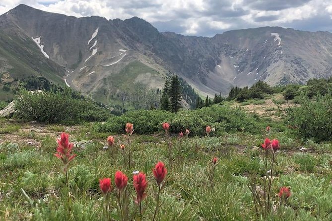 Breckenridge Ultimate Full Day Mountain Tour From Denver - Meeting Point and Time