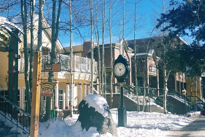 Breckenridge Ultimate Full Day Mountain Tour From Denver - Weather Conditions and Ski Gondola