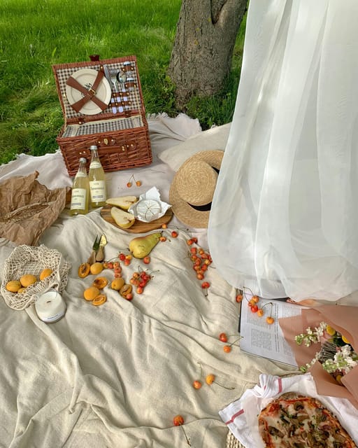 Bregenz: Motorboat & Picknick Tour - Youll Love - Good To Know