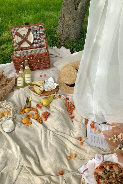 Bregenz: Motorboat & Picknick Tour - Youll Love - Included in the Tour