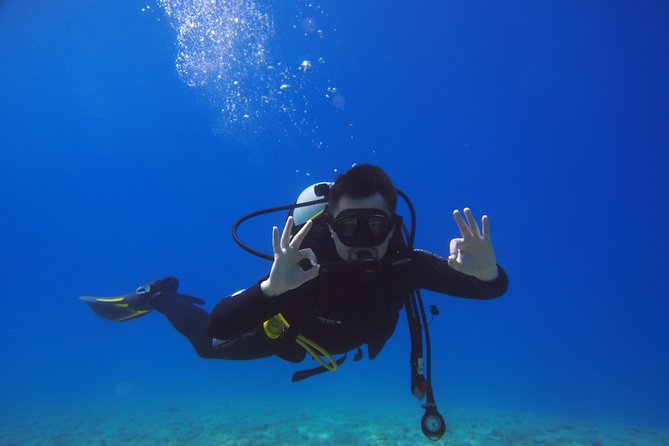 BRELA Bikini Dive *Try SCUBA DIVING* - Ratings and Reviews