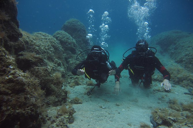 BRELA Bikini Dive *Try SCUBA DIVING* - Key Information at a Glance