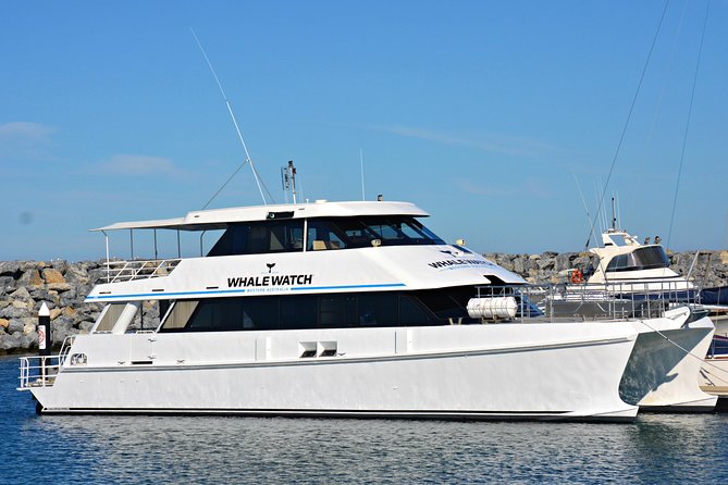 Bremer Bay Orca Experience - Conservation and Marine Life