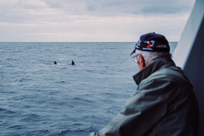 Bremer Canyon Killer Whale (Orca) Expedition - Meeting Point and Start Time