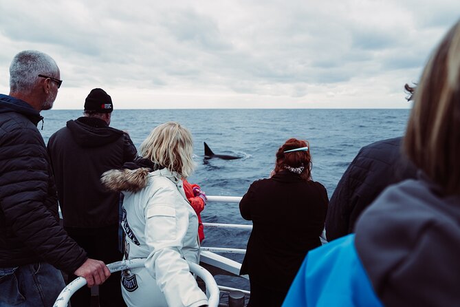Bremer Canyon Killer Whale (Orca) Expedition - Group Size