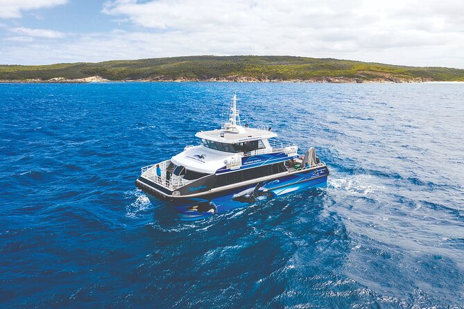 Bremer Canyon Killer Whale (Orca) Expedition - Highlights of the Expedition