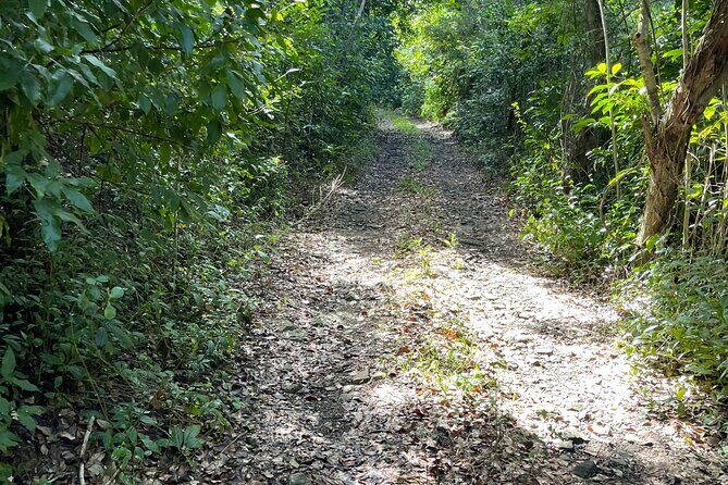 Brewers Bay Eco Hiking Tour - Final Thoughts: Why This Tour Is Worth Your Time