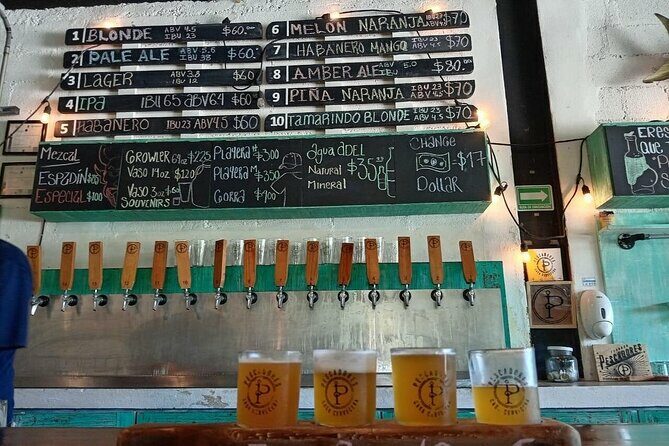 Brewery Tour Craft Beer Tasting Cancun Mexico - Who Should Consider This Tour?