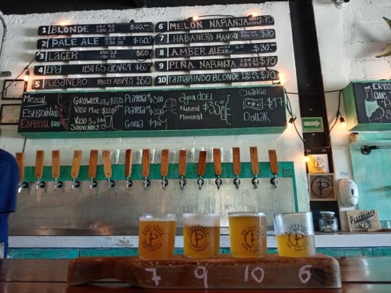 Brewery Tour / Craft Beer Tasting Cancun Mexico - Key Points