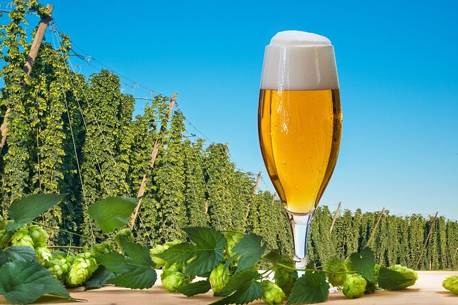 Brewery Tour With Tapping School and Dinner - Meeting Point and Transportation