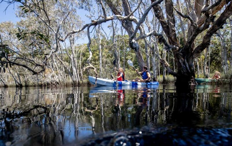 Bribie Island: Sea to Table 4WD, Kayak, & Seafood Lunch Tour - FAQ