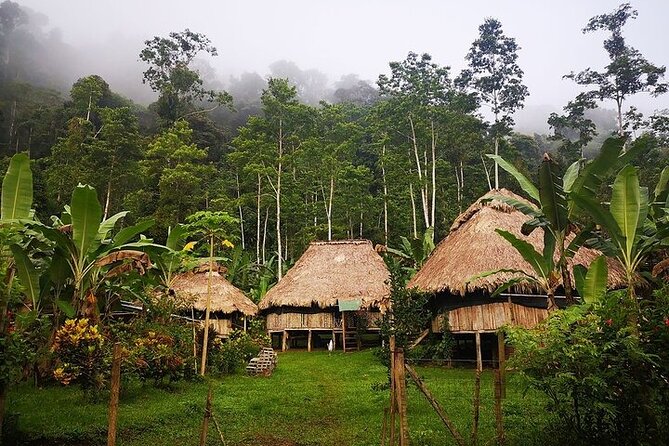 BRIBRI Chocolate Tour & Cahuita National Park From San Jose - Key Points