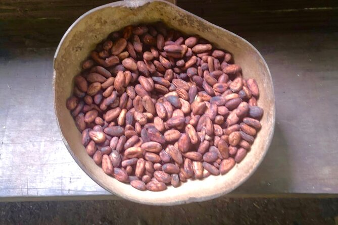 BriBri Indigenous Village Chocolate Tour, Cahuita and Waterfalls - Tour Overview and Details