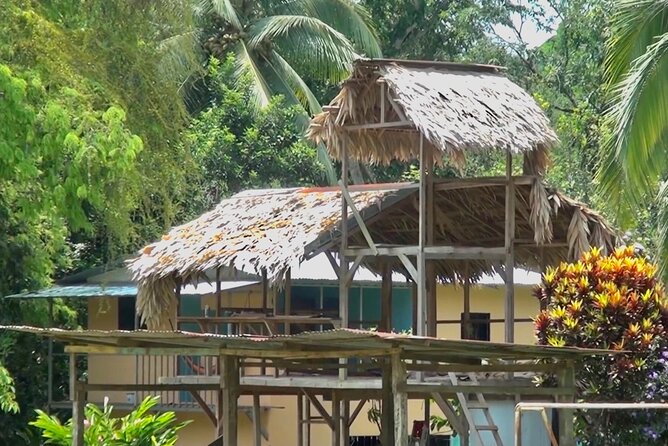 BriBri Indigenous Village Chocolate Tour, Cahuita and Waterfalls - Nature and Activities