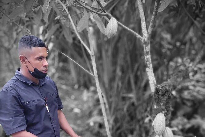 Bribri Magic Chocolate and Waterfall Experience - Chocolate-Making Process