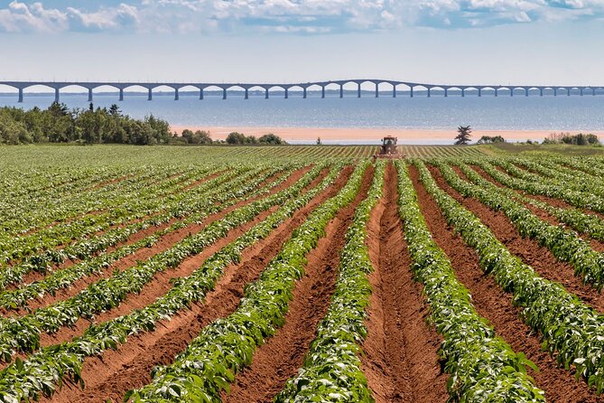 Bridge, Lighthouses & Treats - Attractions Along the Way