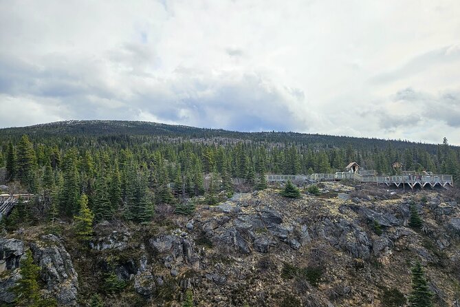 Bridge, Puppies, and Summit Triple Combo in Skagway - Scenic Klondike Highway Photo Stops