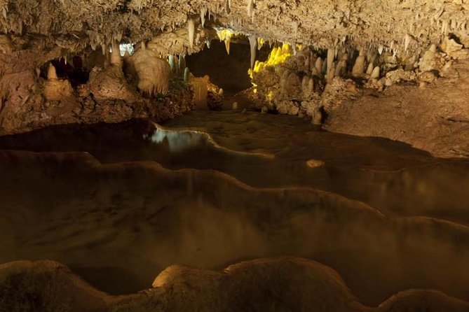 Bridgetown Barbados Shore Excursion Tour Harrisons Cave - Cancellation and Payment Policy