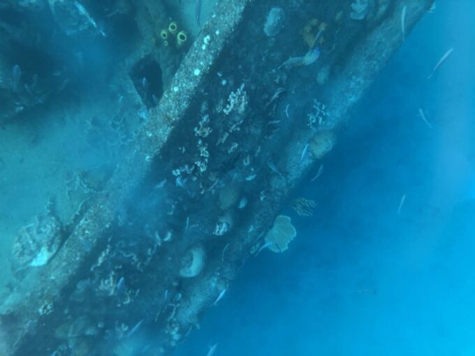 Bridgetown: Carlisle Bay Clear Kayak Shipwreck Tour - Accessibility Notes