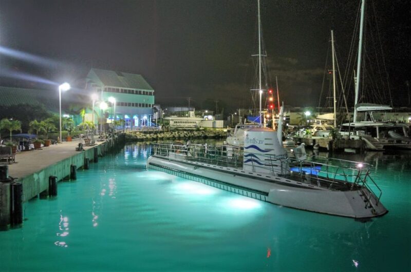 Bridgetown: Submarine Guided Night Tour - Tour Experience