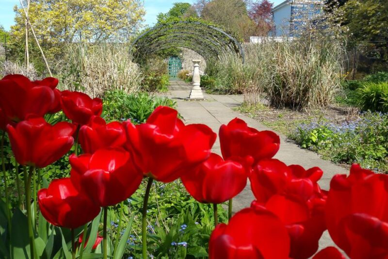 Brighton City Bike Tour - Included Amenities