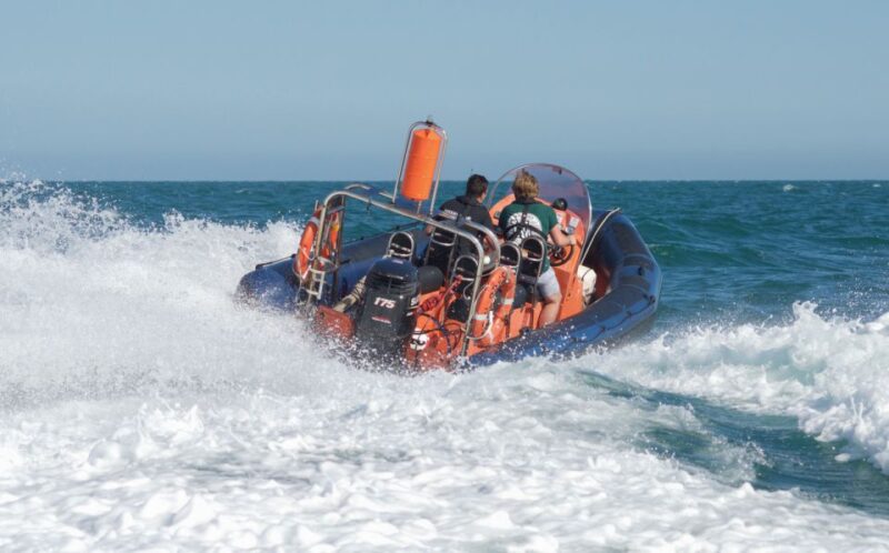 Brighton: Powerboat Ride - Accessibility and Suitability