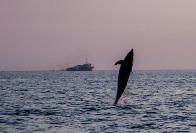 Brijuni Islands: Sunset & Dolphins Private Boat Tour - Weather Considerations