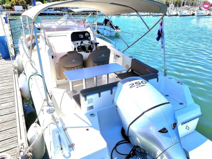 Brioni Private Sunset and Dolphin Boat Tour up to 11 People - Customizable Tour Experience