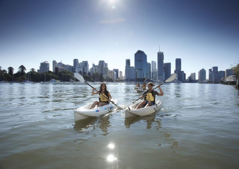 Brisbane: 2-Hour Kayak Hire on Brisbane River - Key Points