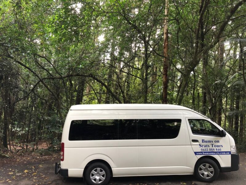 Brisbane Airport Private Transfer Service to Brisbane City - Transfer Experience