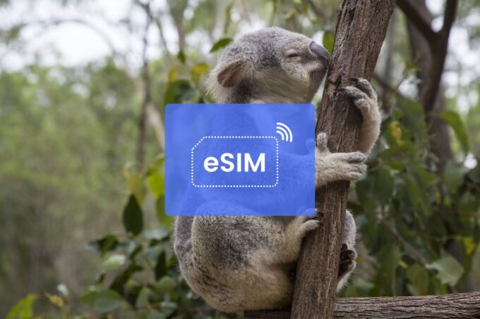 Brisbane: Australia/ APAC Esim Roaming Mobile Data Plan - Data Usage Estimates