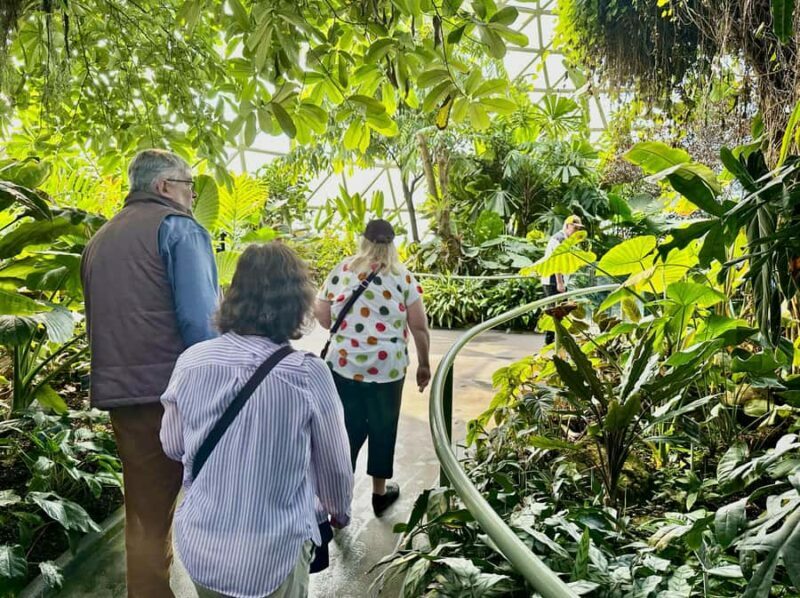 Brisbane Bus Tour: City highlights & Mt Coot-tha Lookout - Key Points