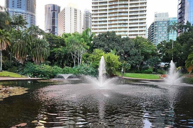 Brisbane Drive by Day - Private Tour - FAQ