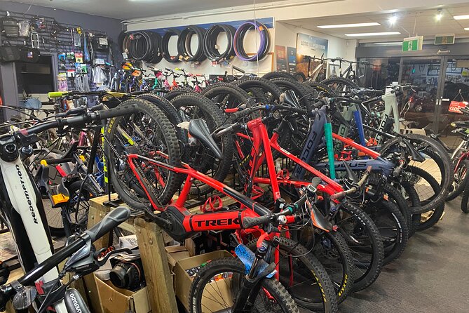 Brisbane Electric Mountain Bike Experience Tour - Tour Details