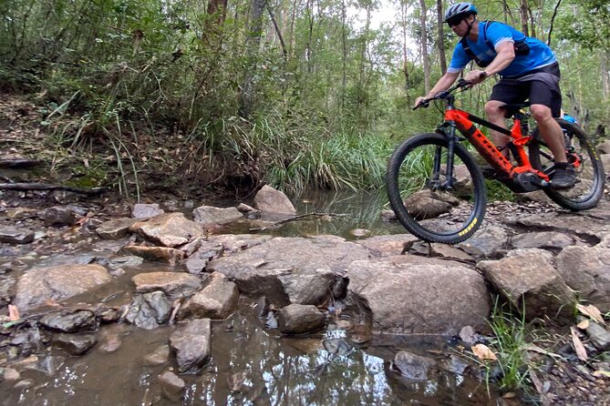 Brisbane Electric Mountain Bike Experience Tour - Schedule and Availability