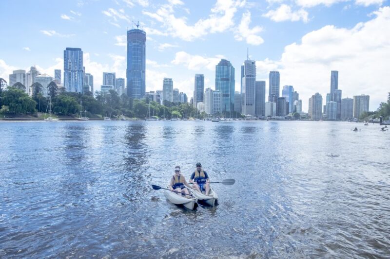 Brisbane: Guided River Kayak Tour - Safety Precautions
